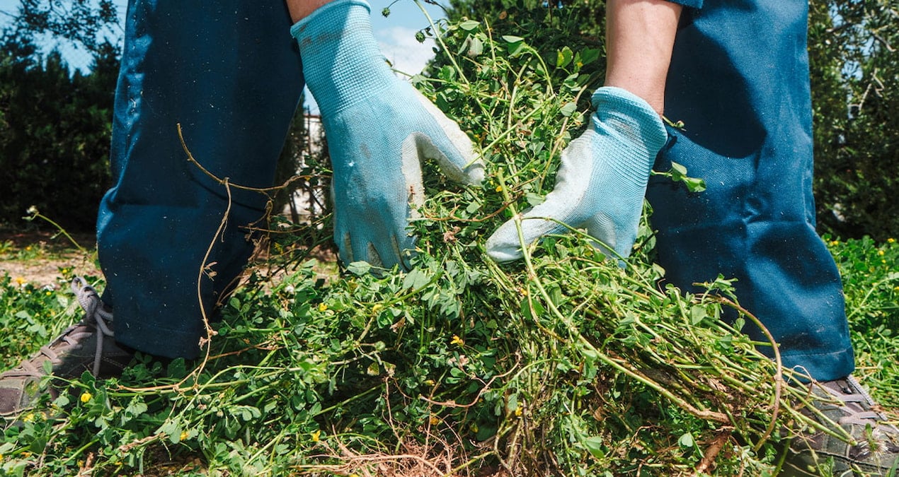 bahcede ot yolarken milyoner oldular 5BtGE1U2