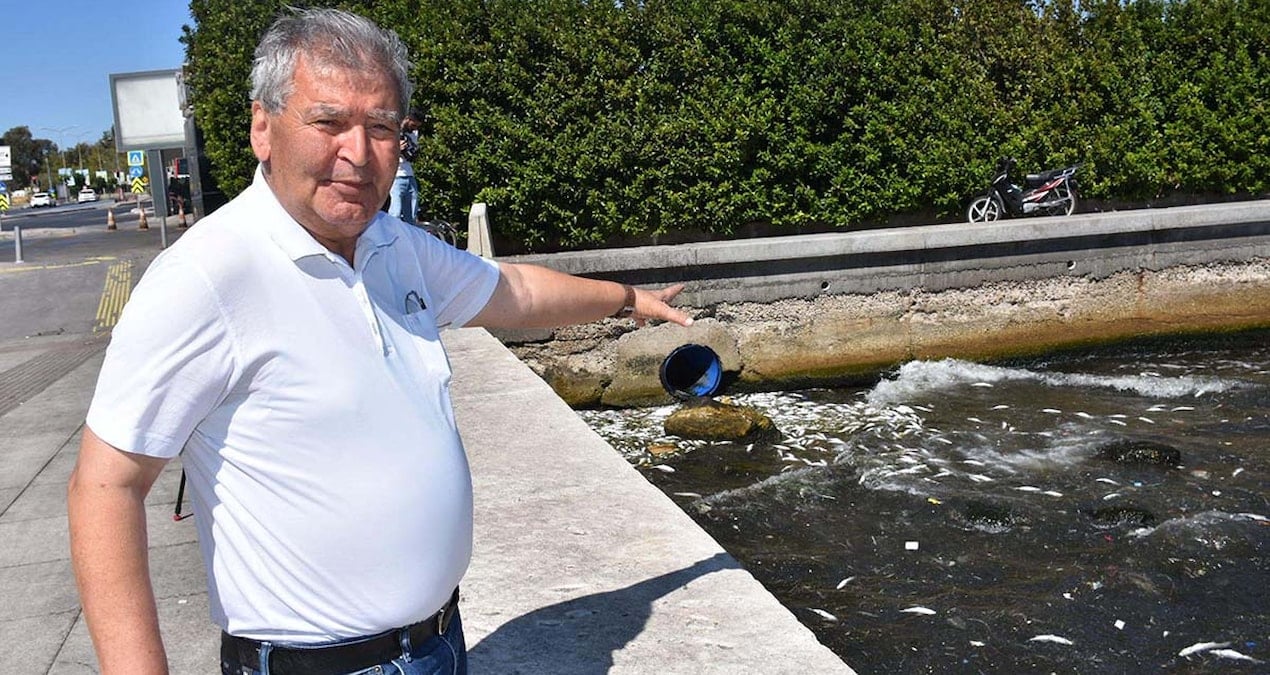 tedirgin eden goruntu buralarda sakin balik tuketmeyin SP4u2nYE