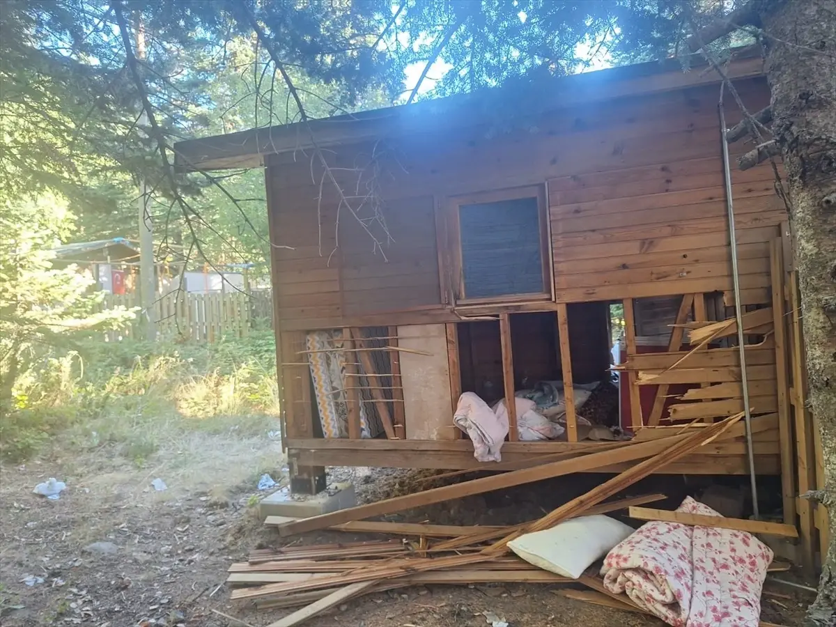 uludagda ayi barakaya saldirdi S63cQUqu