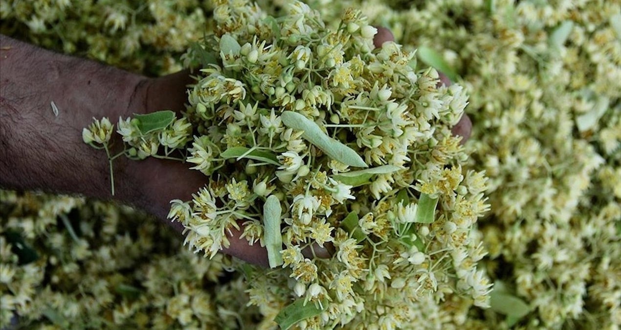 degeri altinla yarisiyor ama sonbahar geldi kapis kapis satiliyor 6zzy2X5k.jpg