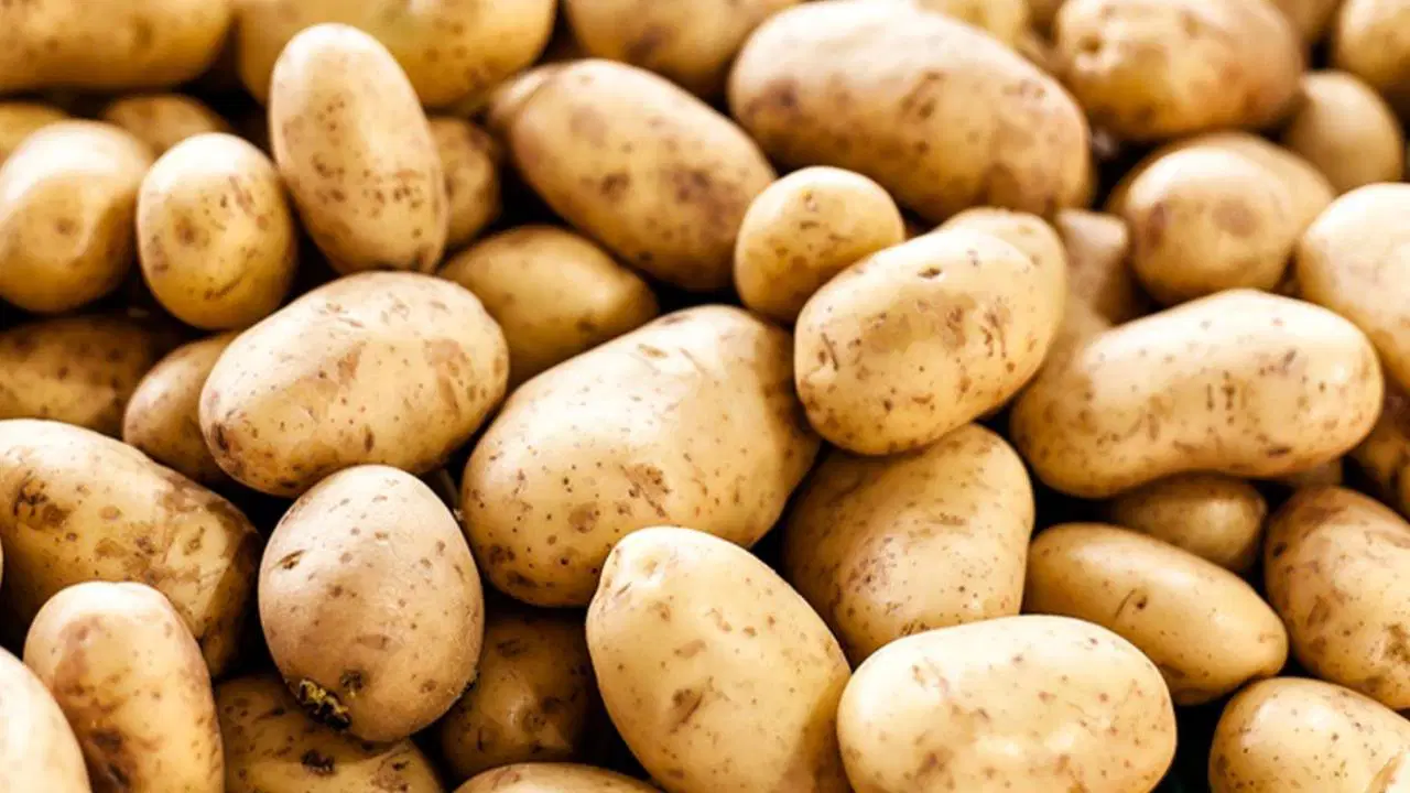 patateste yuksek fiyatlara iliskin bakanliktan aciklama geldi zincir marketlerde 12 lira denildi R2247f8U.jpg