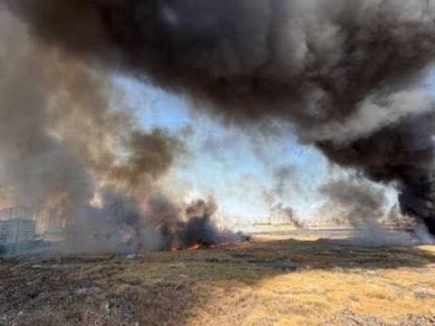 Haber gorseli